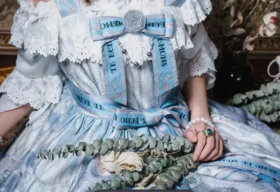 Cat-Romance~The Voice of Eco~Vintage Lolita Summer JSK