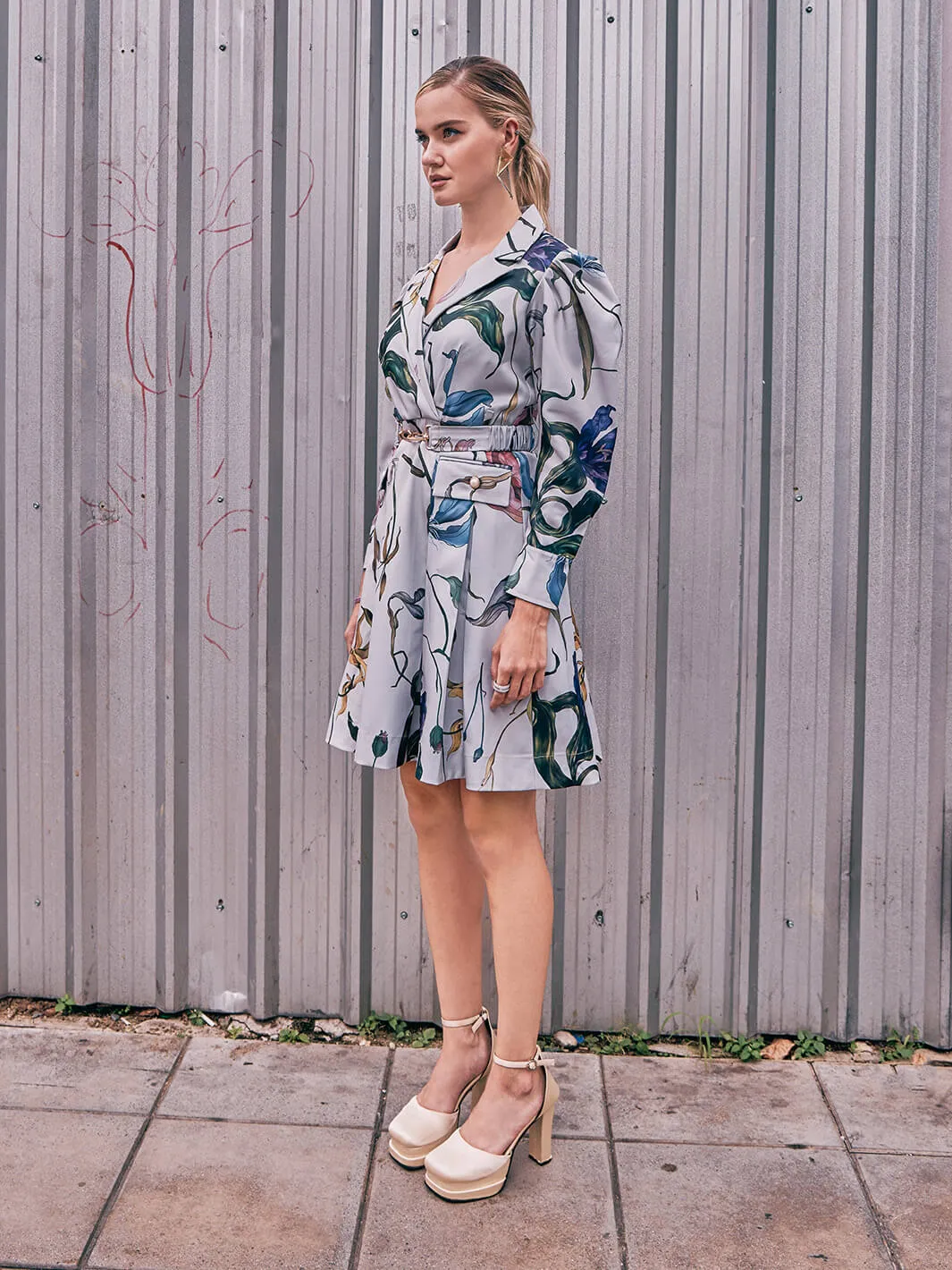 Serena Trench Dress